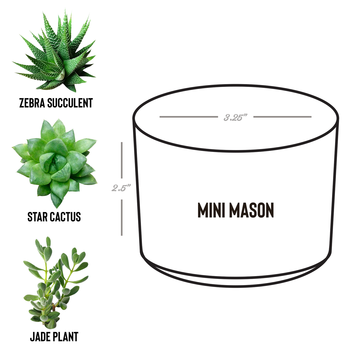 Play_In_Dirt_Desk_Planter_Mason_Spec_Mockup.png