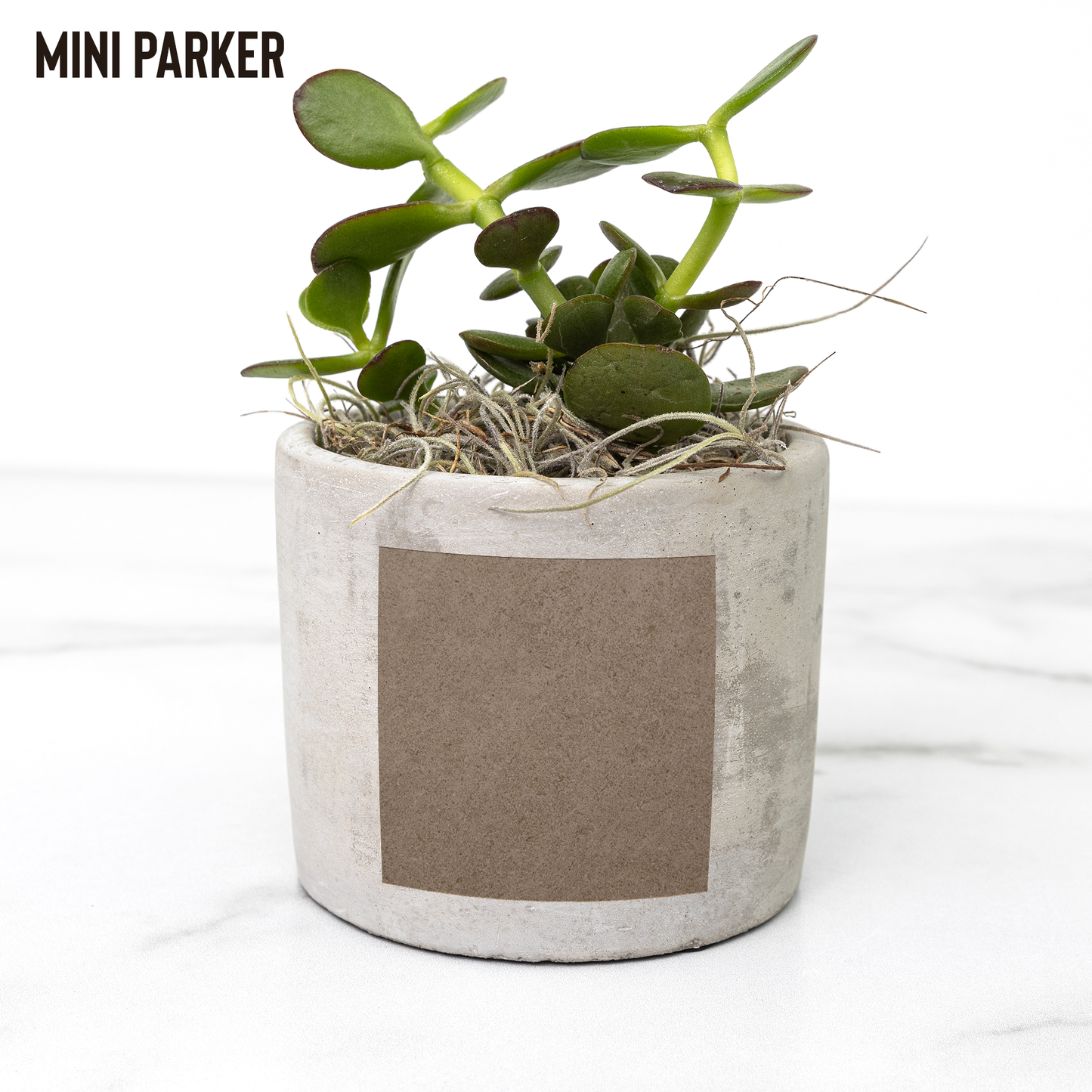 Play_In_Dirt_Desk_Planter_Parker_Mockup_Mockup.png