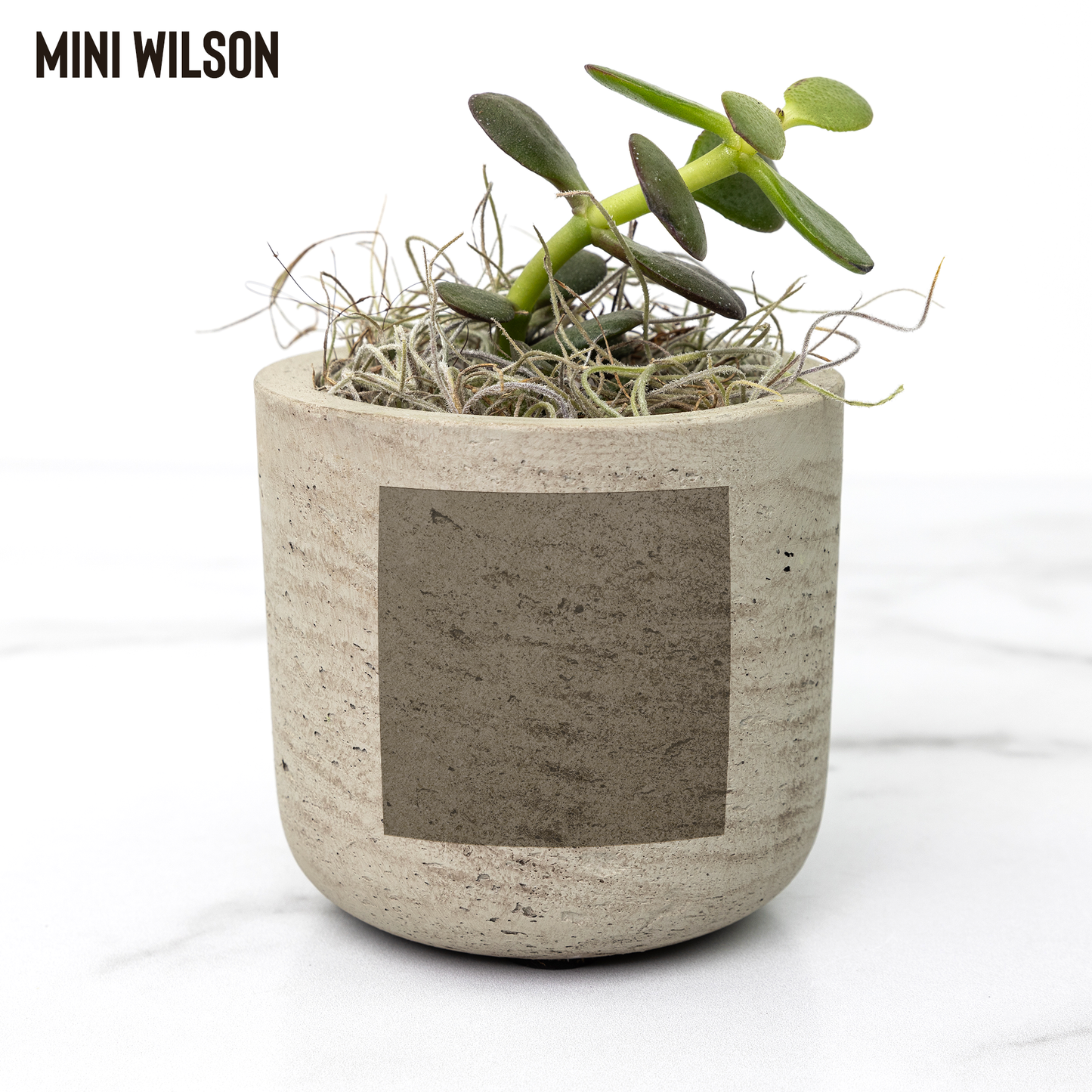 Play_In_Dirt_Desk_Planter_Wilson_Mockup_Mockup.png