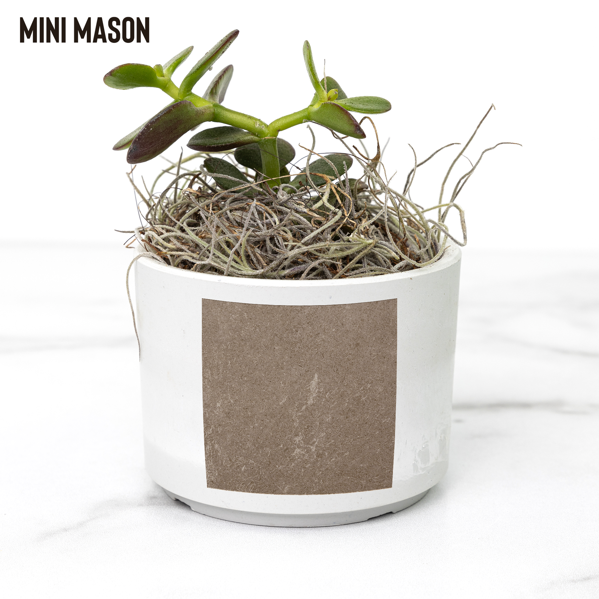 Play_In_Dirt_Desk_Planter_Mason_Mockup_Mockup.png