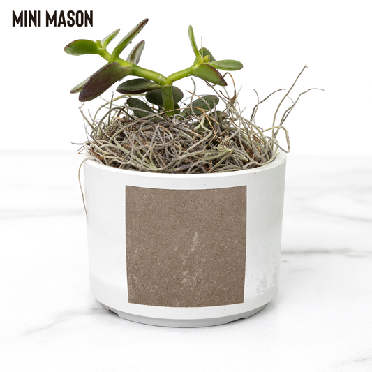 Play_In_Dirt_Desk_Planter_Mason_Mockup_Mockup.png
