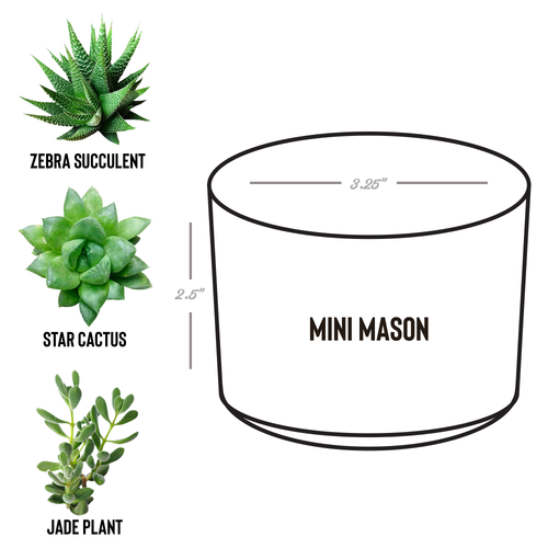 Play_In_Dirt_Desk_Planter_Mason_Spec_Mockup.png